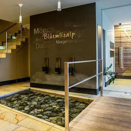 Enzian Mit Mitbenutzung & Wellness - Griwa Rent Ag