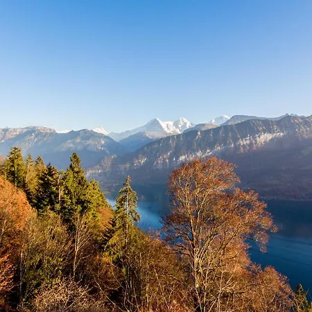 Enzian Mit Mitbenutzung & Wellness - Griwa Rent Ag Appartement *